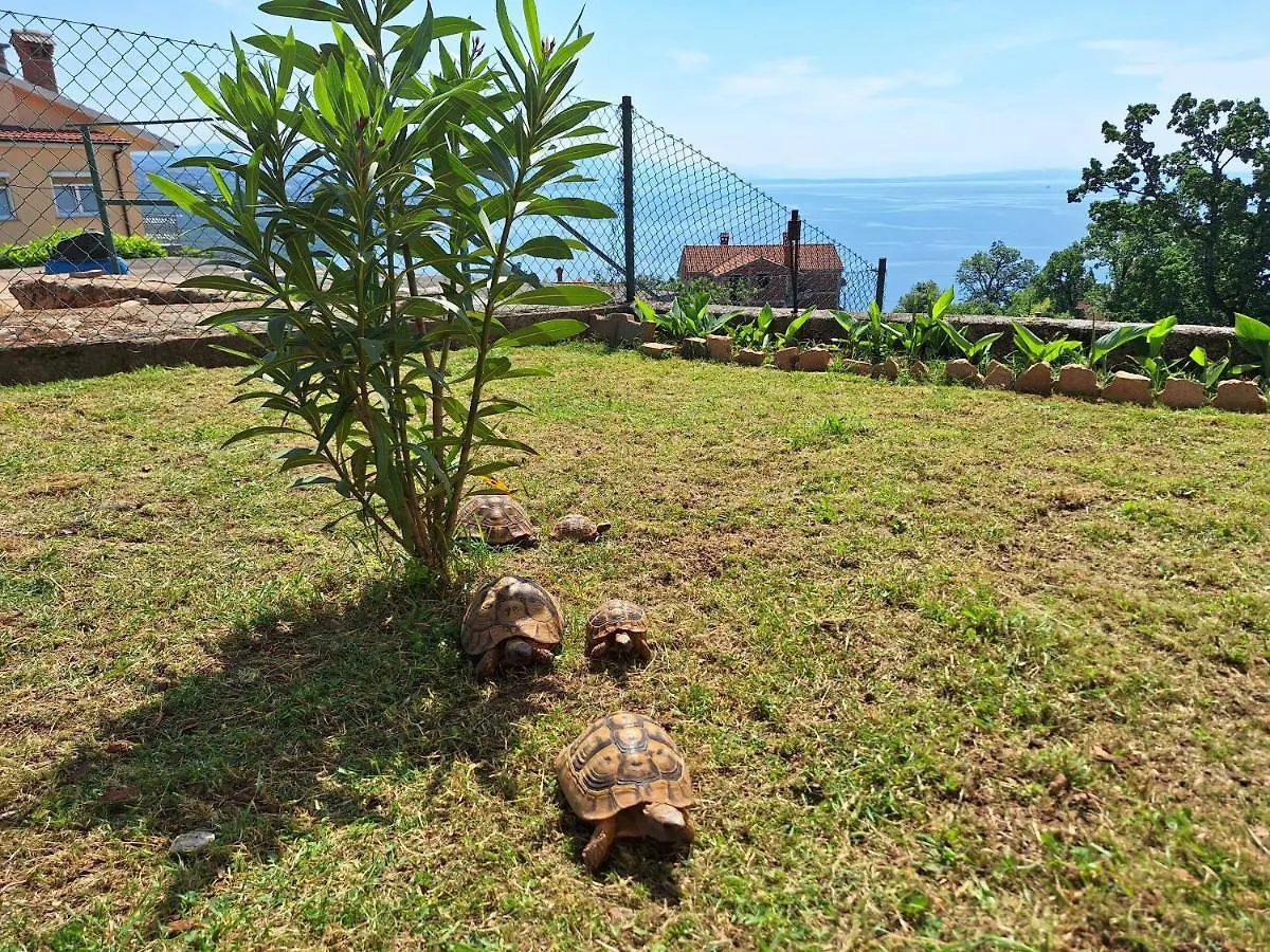 Apartmani Marini Opatija Appartement