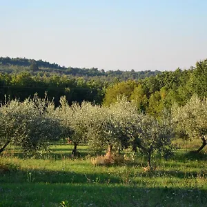 Olivetta - Istrische Mit Meerblick Nahe Porec Barat (Porec)